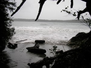 Tofino Beach